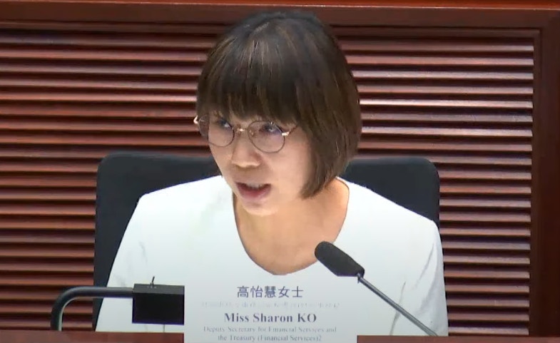 財經事務及庫務局副秘書長高怡慧表示，將分兩階段完成立法工作。（立法會直播）