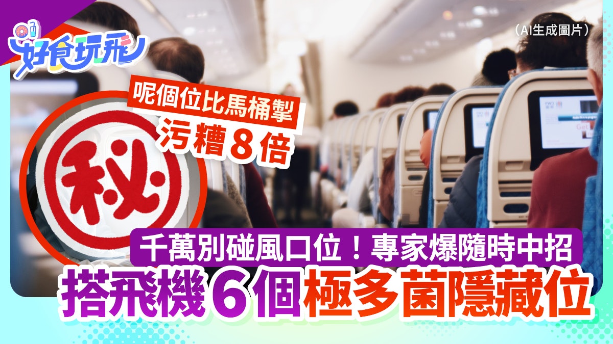 搭飛機6個位置最多菌 專家爆出風位千萬別碰 安全帶扣是高危位 搭飛機6個位置最多菌 專家爆出風位千萬別碰 安全帶扣是高危位