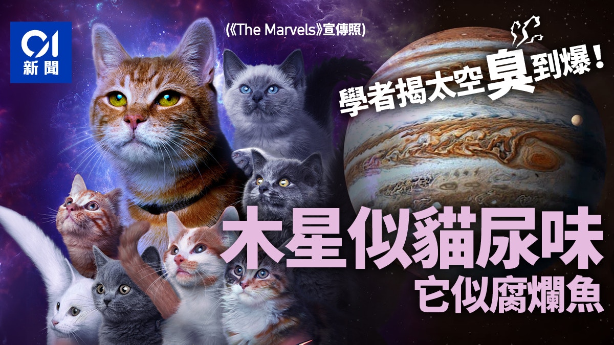 太空聞起來怎樣？學者揭星球奇特氣味：木星似貓尿　它像腐爛椰菜