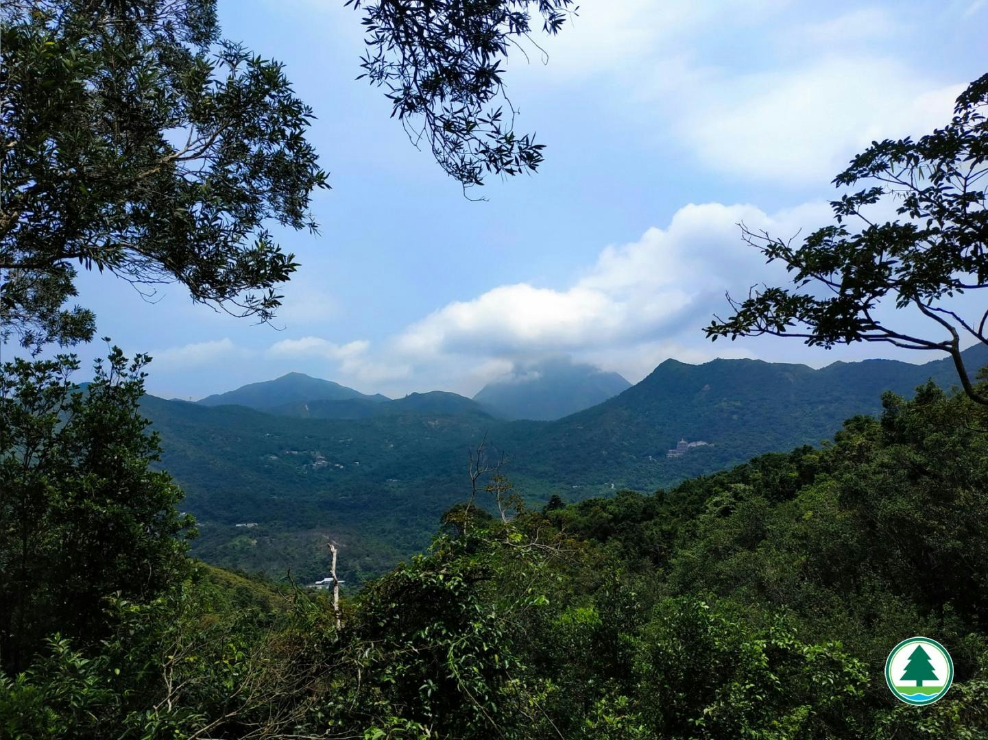 遠眺觀音山及昂坪（漁護署「郊野樂行」網站圖片）