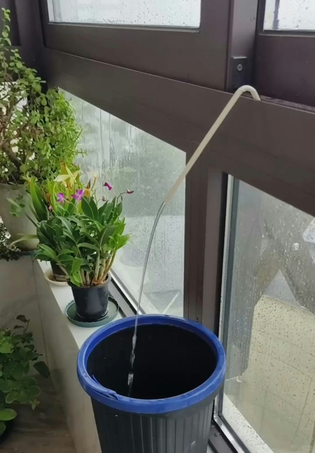 將一支可彎曲的膠飲管放窗邊，利用虹吸原理便可排走積水。（小紅書@一路狂飆）