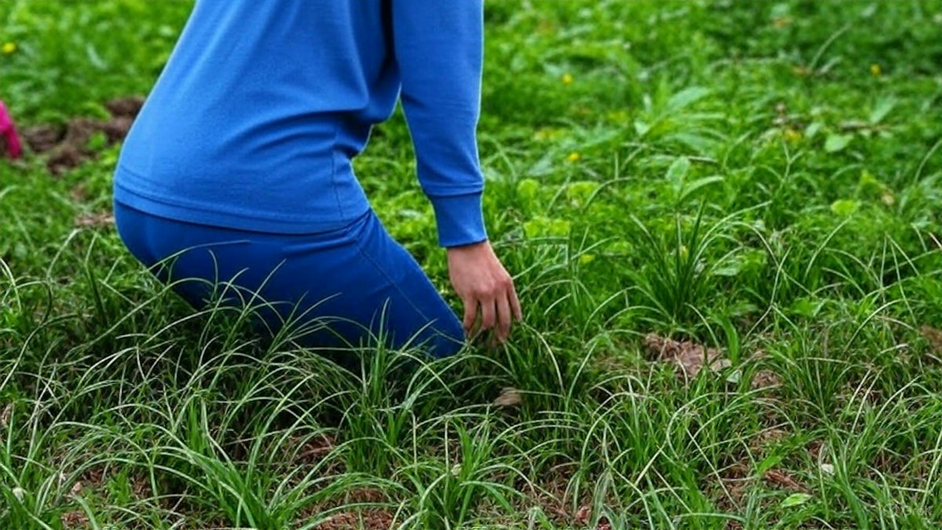 泰國1名男子在戶外除草後手部痕癢,生出大量恐怖水泡。(AI生成圖片) 泰國1名男子在戶外除草後手部痕癢,生出大量恐怖水泡。(AI生成圖片)
