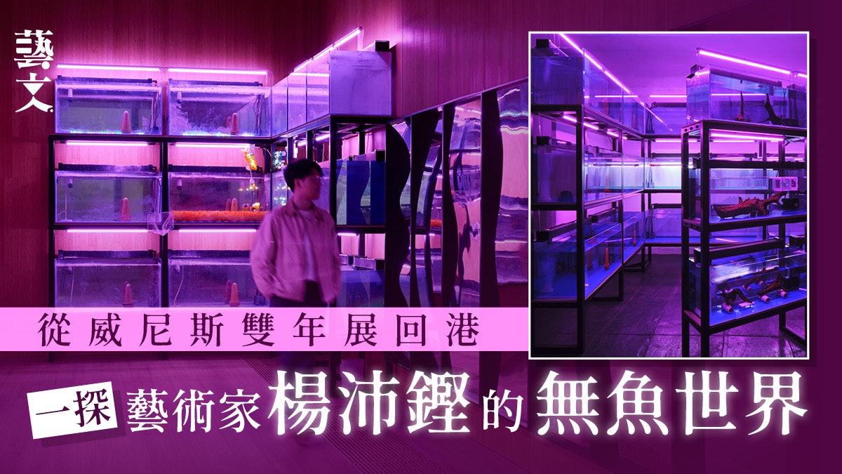 展覽|從威尼斯雙年展回港 楊沛鏗《別離庭》無魚魚缸看城市失落 展覽|從威尼斯雙年展回港 楊沛鏗《別離庭》無魚魚缸看城市失落