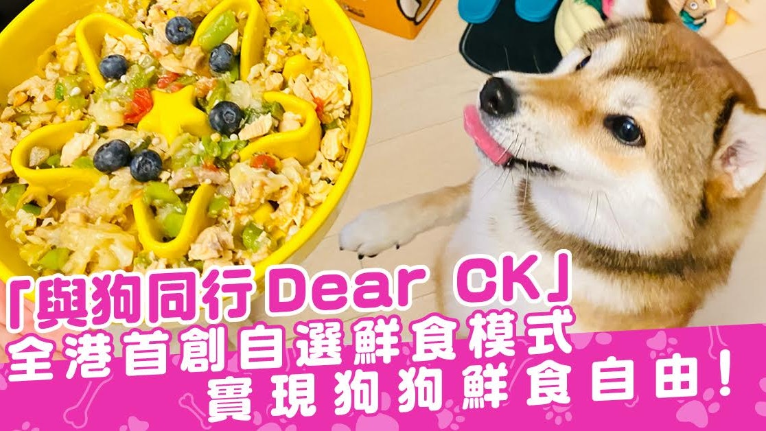 「與狗同行 Dear CK」全港首創自選鮮食模式 實現狗狗鮮食自由! 「與狗同行 Dear CK」全港首創自選鮮食模式 實現狗狗鮮食自由!