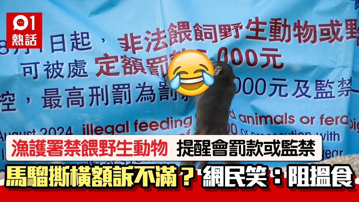 馬騮撕爛「漁護署禁餵野生動物」橫額？網民爆笑：搞到佢冇啖好食