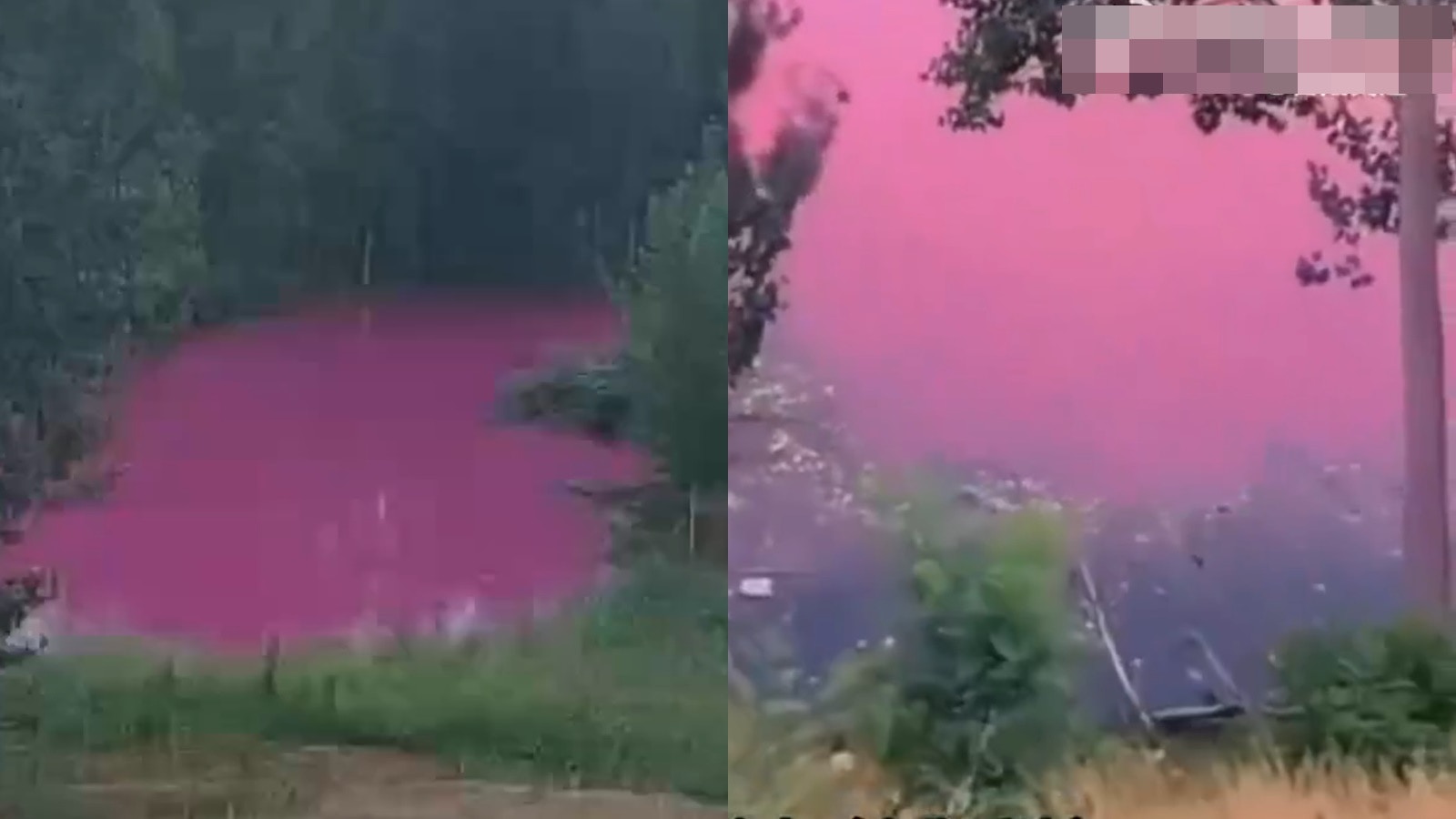 河南洛陽現粉紅色水塘村民憂用水安全 當地正排查河道兩岸企業