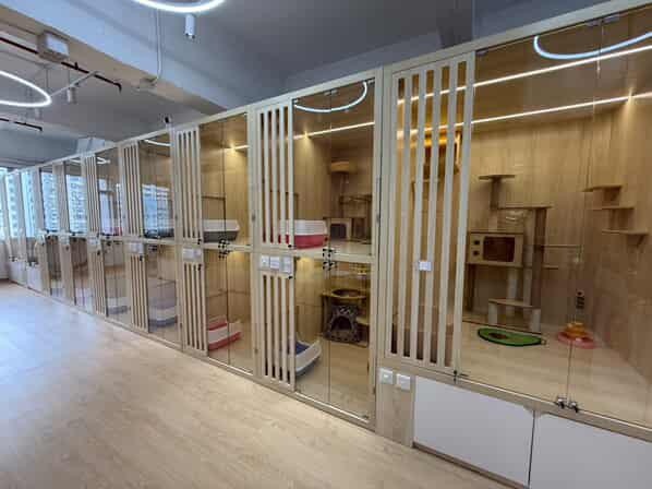 30間工廈寵物酒店恐結業?政府促簽聲明書 違地契用途將不獲發牌