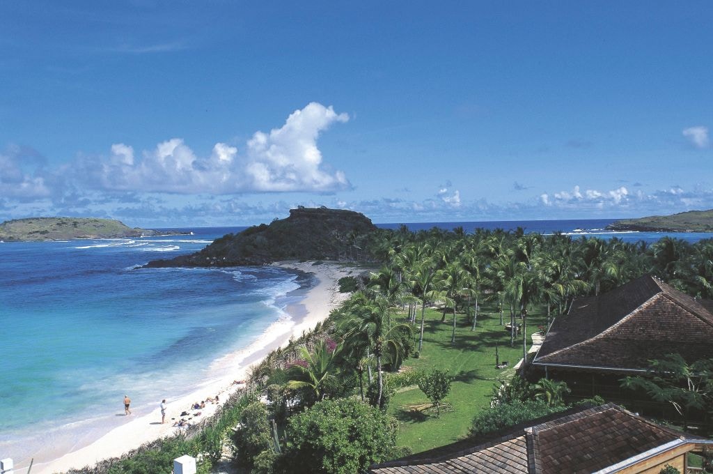 法媒：法國科學家發現全新血型全球已知攜帶者僅一人