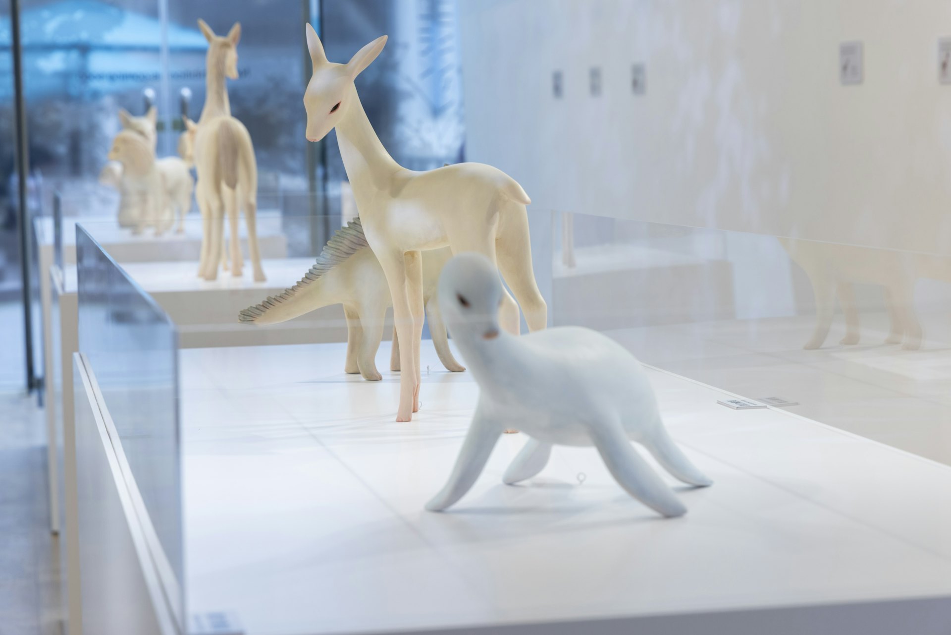 土屋仁応「幻獸重夢」藝術展現場(海港城) 土屋仁応「幻獸重夢」藝術展現場(海港城)