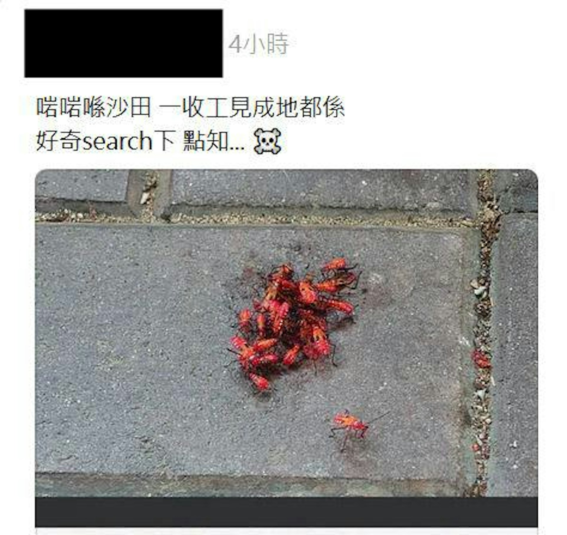 沙田街坊看過帖文驚呼「恐怖」。(k.yoyo.04/Threads)