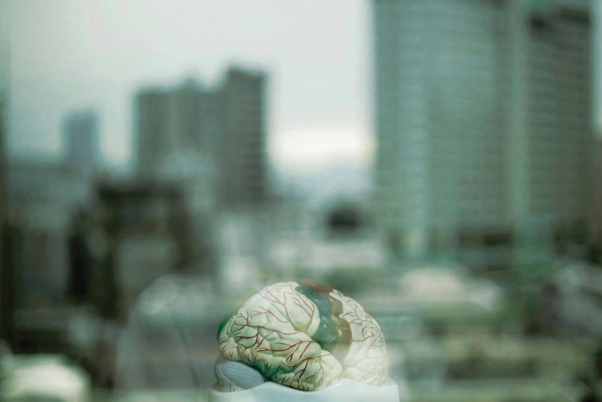 《語言的力量》
