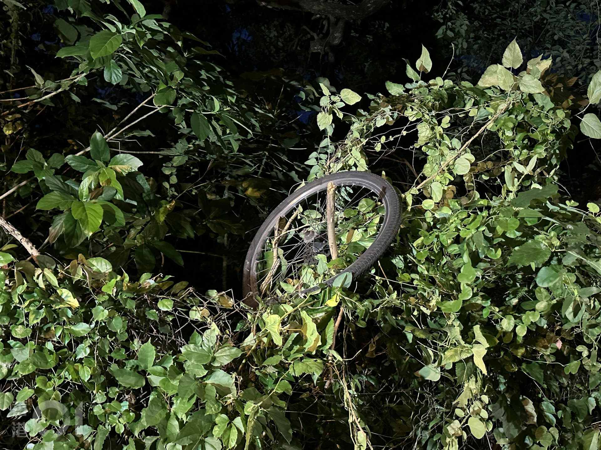 意外中,涉事單車被私家車撞散,車轆飛上行人路,掛在鐵網之上。(王譯揚攝)