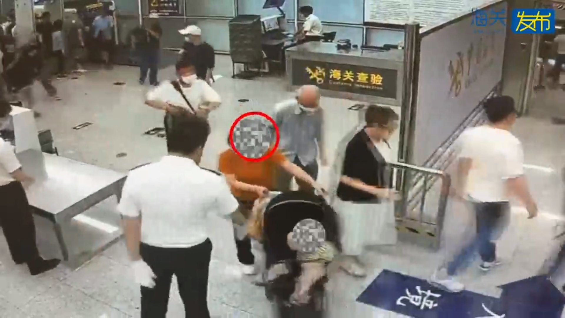 一名旅客在BB車內藏匿用絲襪包裹的活蛇。(海關發布) 一名旅客在BB車內藏匿用絲襪包裹的活蛇。(海關發布)