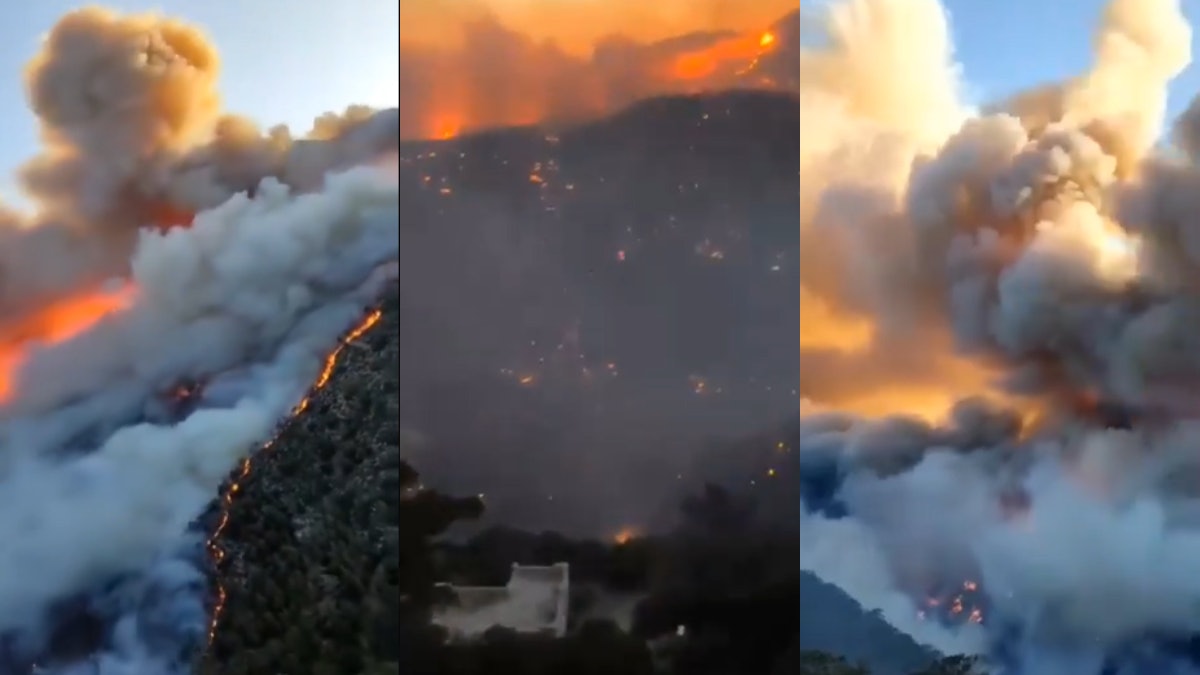 希腊克里特岛山火肆虐画面曝光 数千游客被迫疏散