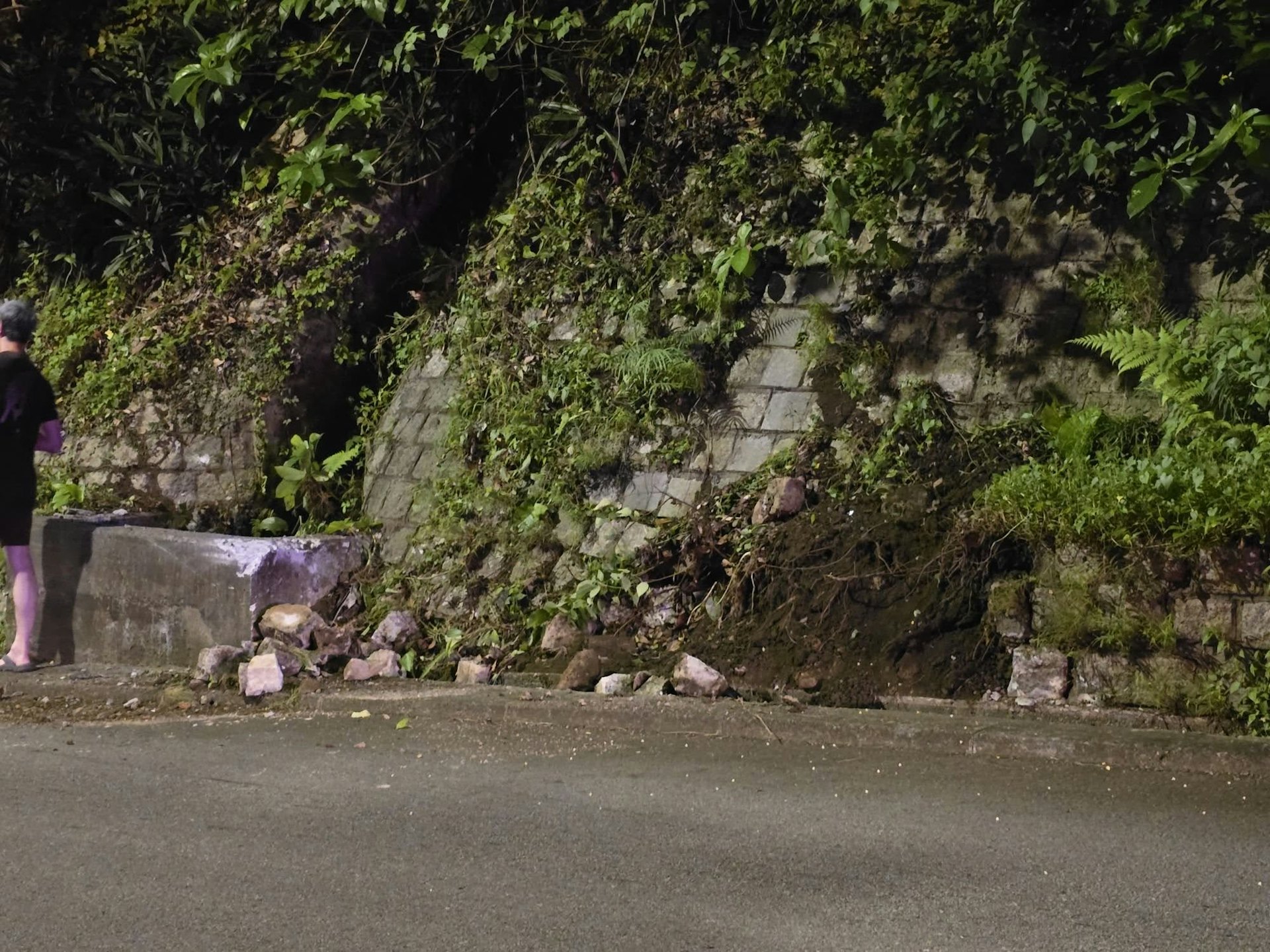 護土牆被撞毀。(facebook專頁「香港公共交通智庫」圖片)