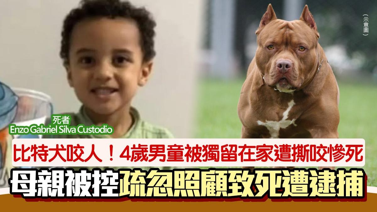 比特犬咬死人!4歲兒獨留在家遭撕咬亡 母涉疏忽照顧致死被捕 比特犬咬死人!4歲兒獨留在家遭撕咬亡 母涉疏忽照顧致死被捕