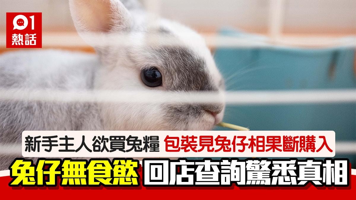 新手主人買兔糧 包裝見兔仔相即購入 餵了2天驚悉「地獄」真相