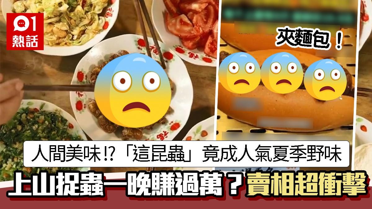 「這昆蟲」竟成人氣夏季野味 地位不輸小龍蝦 賣相超衝擊視覺 「這昆蟲」竟成人氣夏季野味 地位不輸小龍蝦 賣相超衝擊視覺