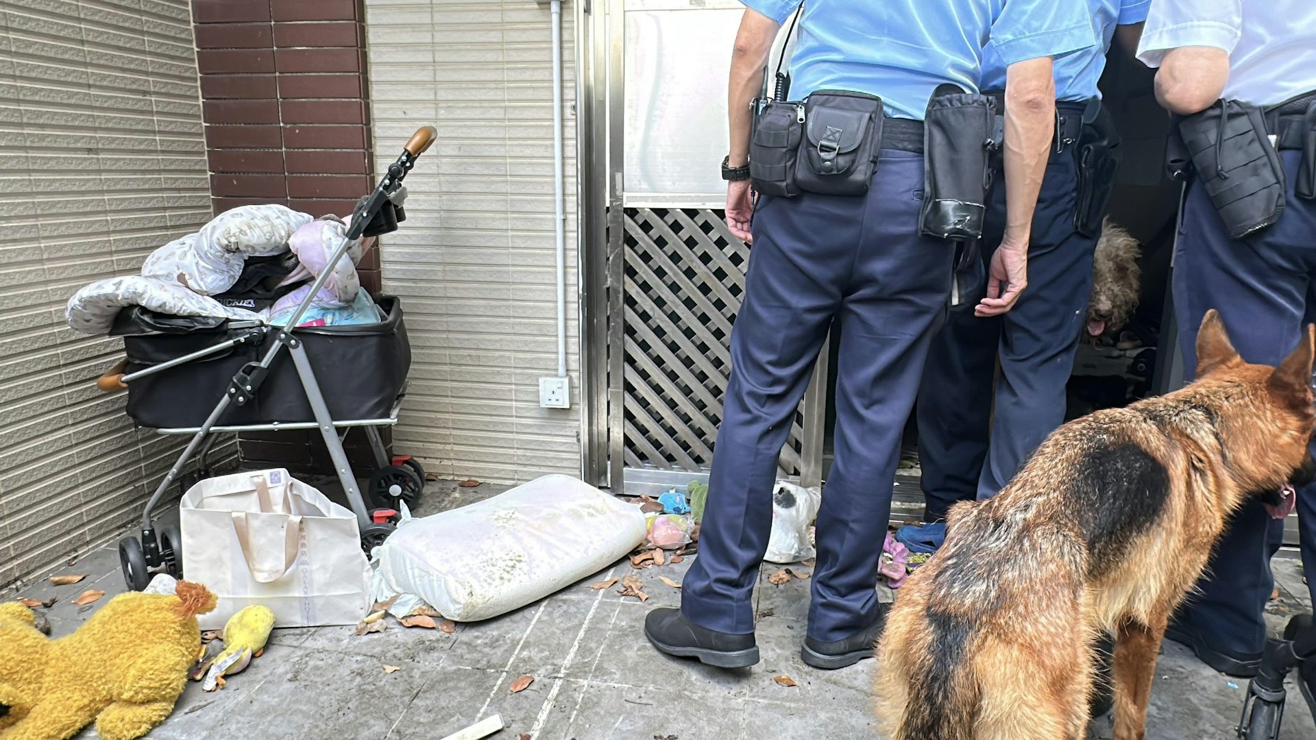 7月8日天水圍田廈路新屋村虐畜案,單位內有3隻狗活動。(黃煦緻攝) 7月8日天水圍田廈路新屋村虐畜案,單位內有3隻狗活動。(黃煦緻攝)