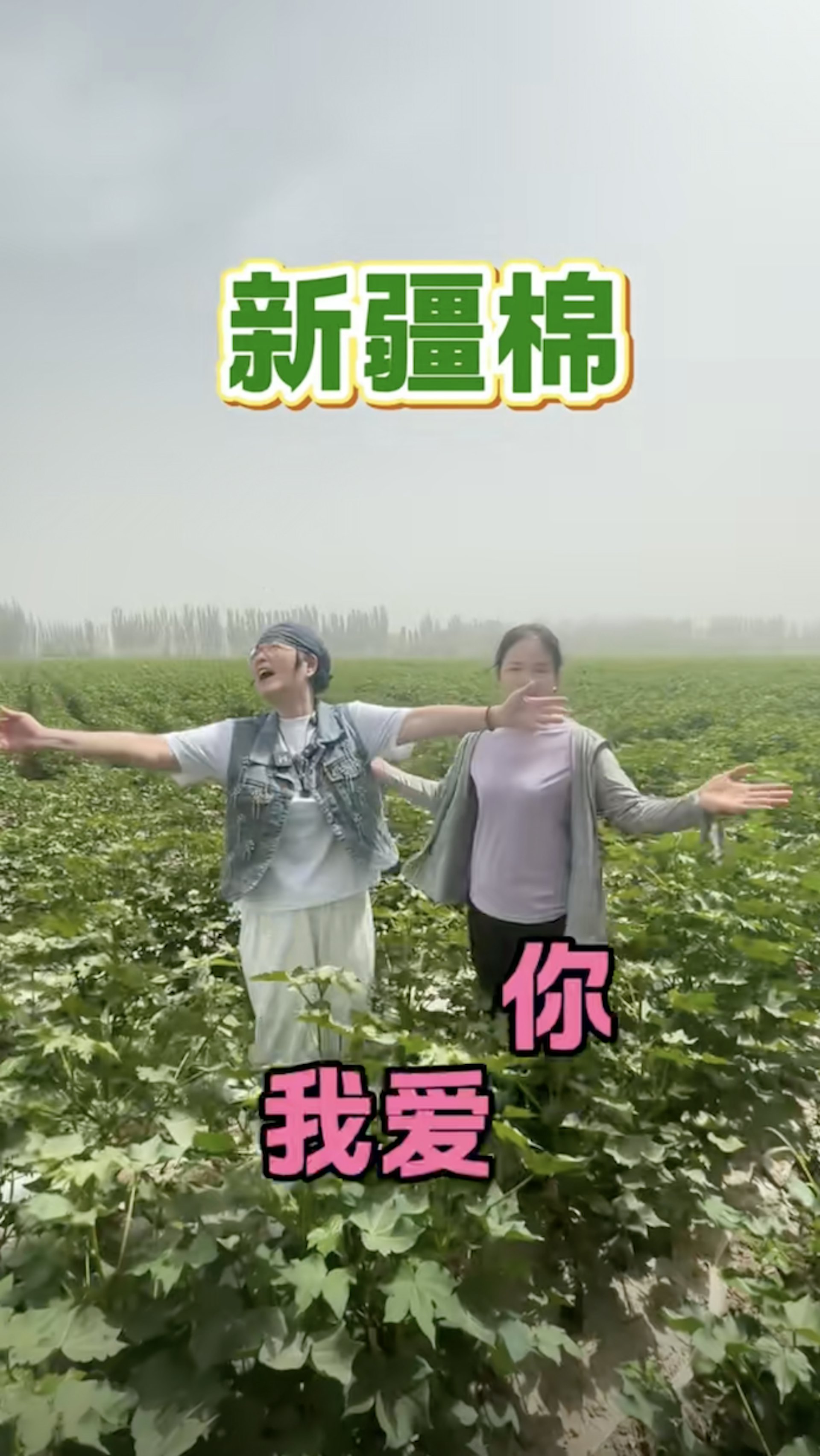 苑瓊丹大嗌:「新疆棉我愛你!」(抖音) 苑瓊丹大嗌:「新疆棉我愛你!」(抖音)