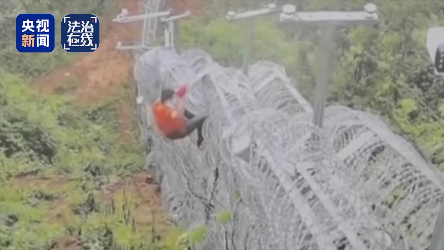 电信诈骗、偷渡人员爬铁网、钻地洞的越境画面。 (央视新闻)