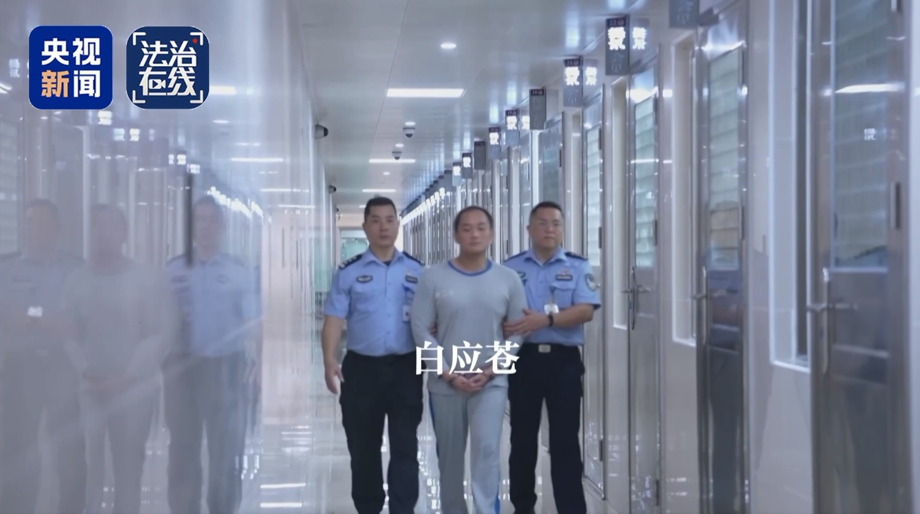 白应苍。 (央视新闻)