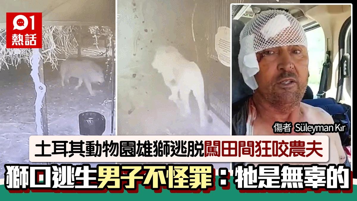 猛獅逃出動物園!男子田間睡覺遭狂噬 搏鬥20分鐘保命 牠下場慘