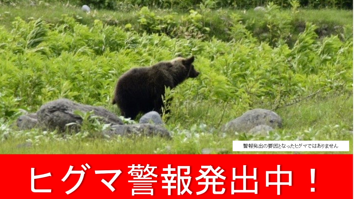 遊日注意|福島町送報員遇襲身亡 北海道首次辦頒布「棕熊警報」