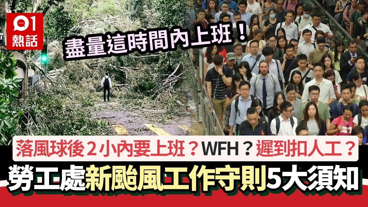 樺加沙│8號風球至少到8pm！落波2小時內返工?WFH?勞工處守則咁講