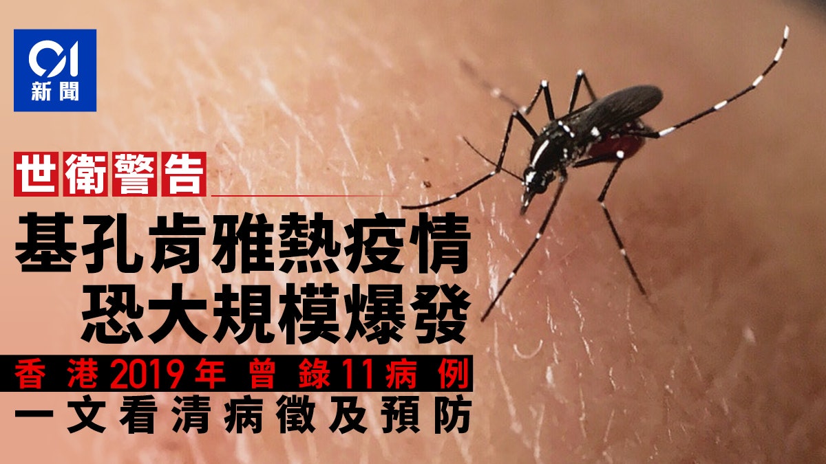 基孔肯雅熱|香港2019曾錄11例主要在7月 病徵及預防法一文看清 (This content only provides in Chinese version)