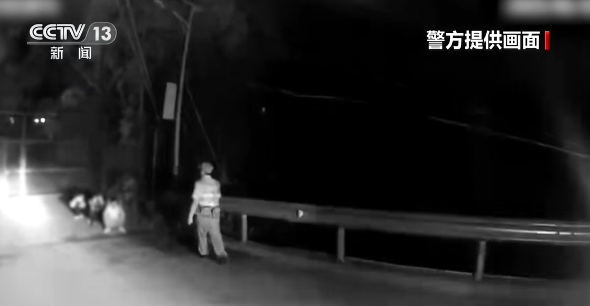 8人偷渡回国被拘捕。 (央视新闻)