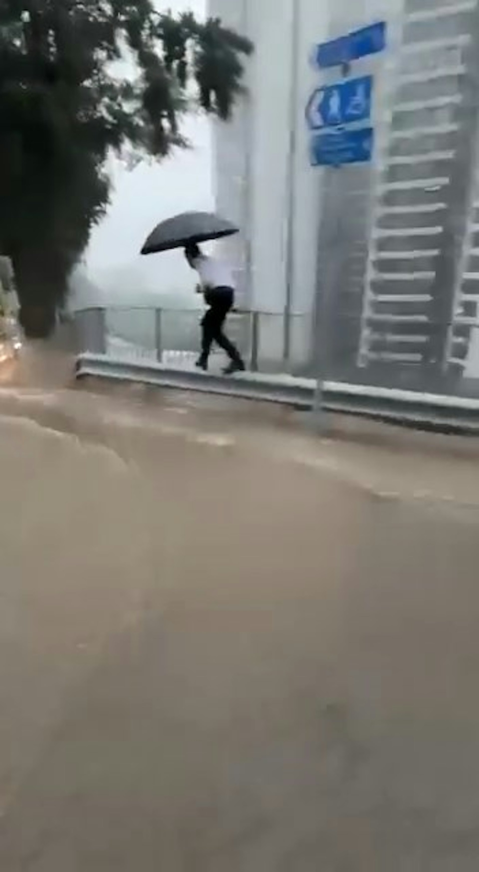 本港網絡瘋傳1段影片,有穿西裝、着皮鞋的打工仔,以「踩鋼線」方式沿護欄走過水浸道路。(Threads@steve66666)