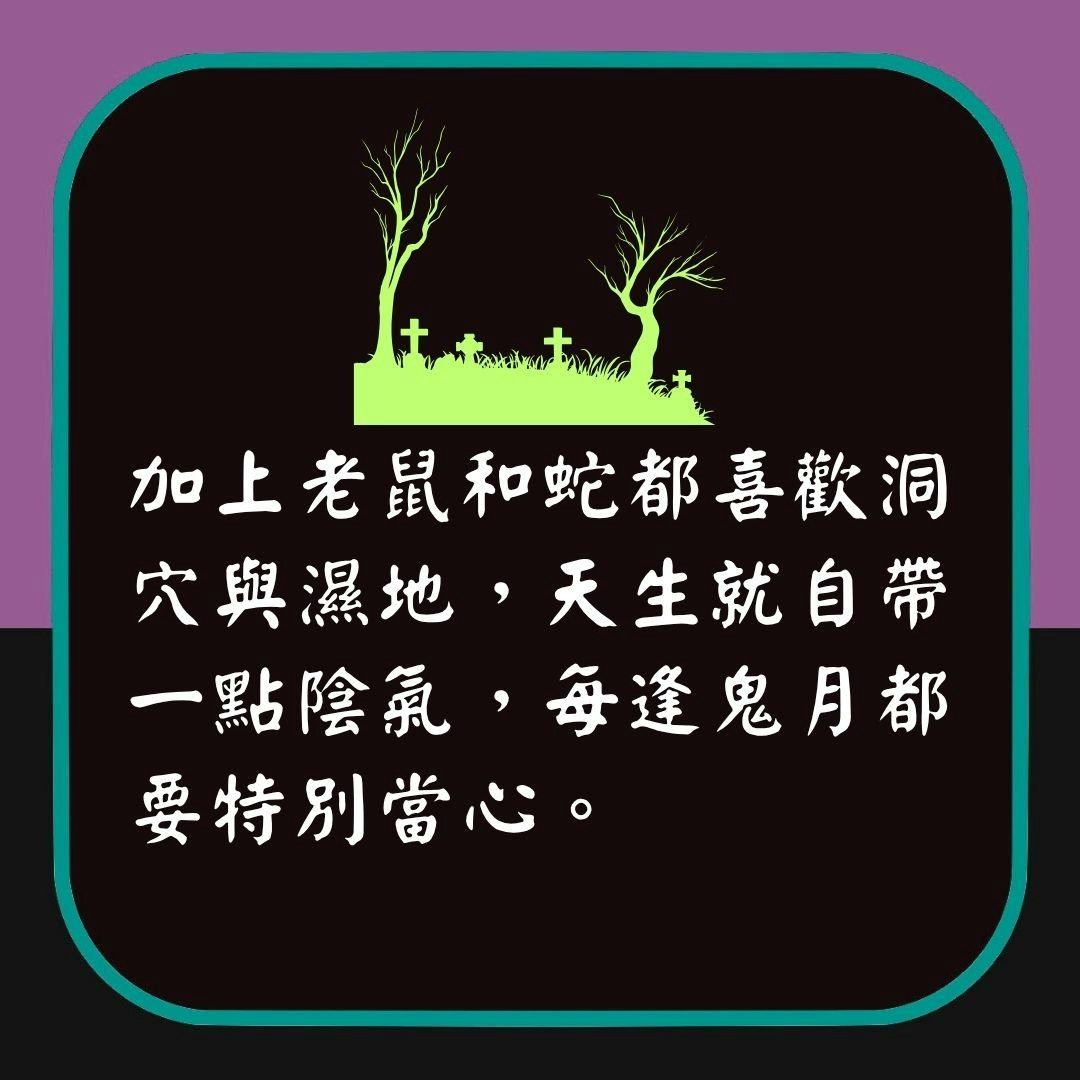 希少　月形那比古　作　鬼意加　盃