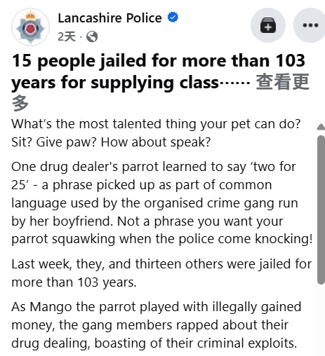 鸚鵡說出「一句話」竟成破獲英國販毒集團線索15人判監共103年