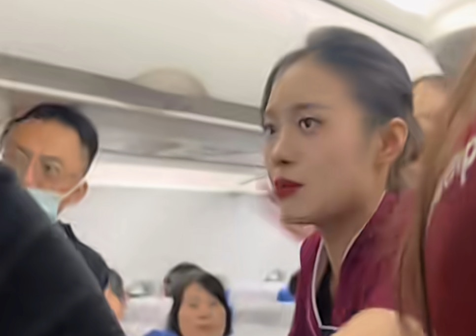 空服員則立刻出面處理，還有乘客在阻攔當事人。（影片截圖）