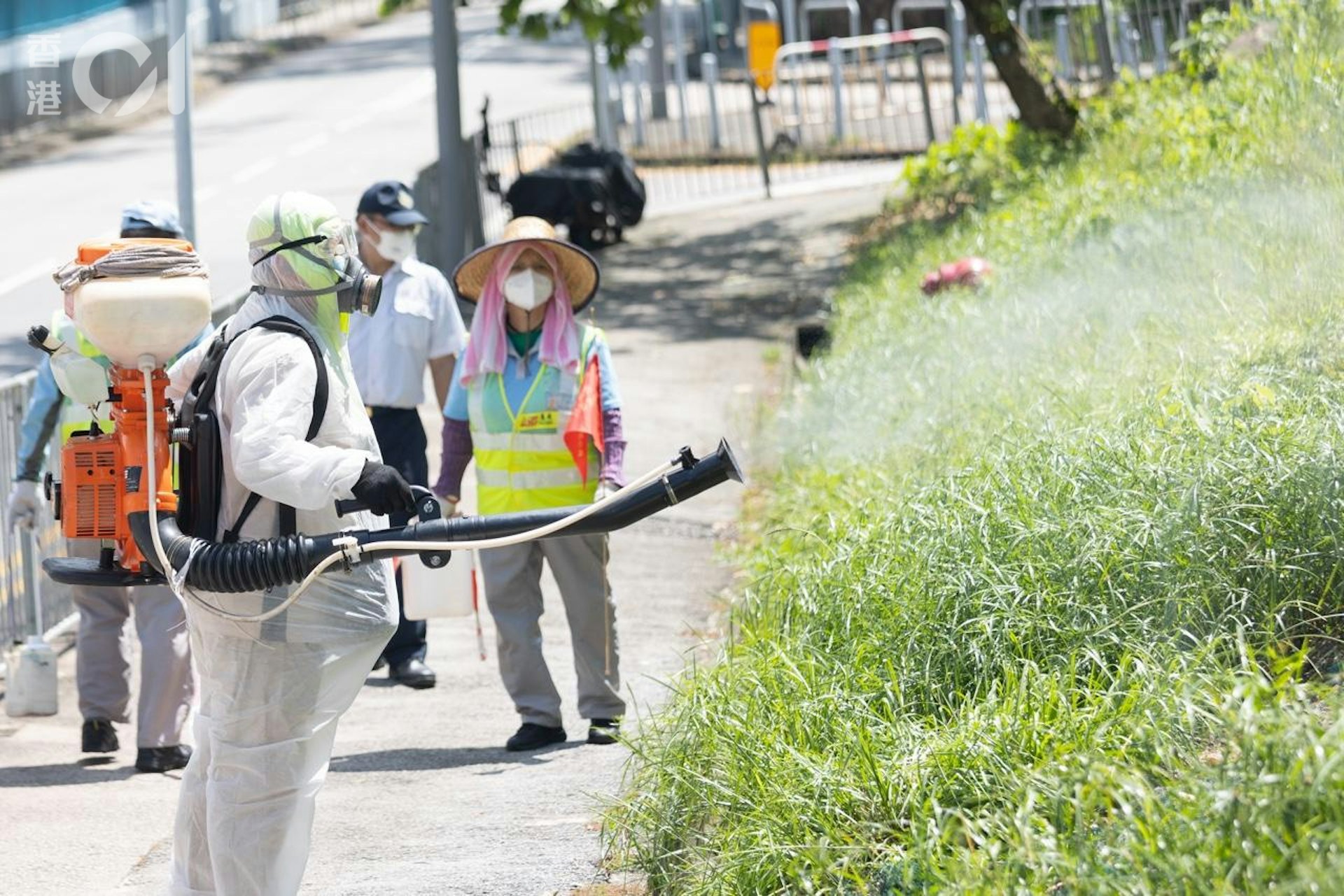 2025年8月8日,本港新增一宗基孔肯雅熱輸入個案,涉及一名66歲女子,她居於葵青石籬一邨,上月到佛山探親。食環署翌日安排人員到石籬一邨滅蚊。(資料圖片/梁鵬威攝) 2025年8月8日,本港新增一宗基孔肯雅熱輸入個案,涉及一名66歲女子,她居於葵青石籬一邨,上月到佛山探親。食環署翌日安排人員到石籬一邨滅蚊。(資料圖片/梁鵬威攝)
