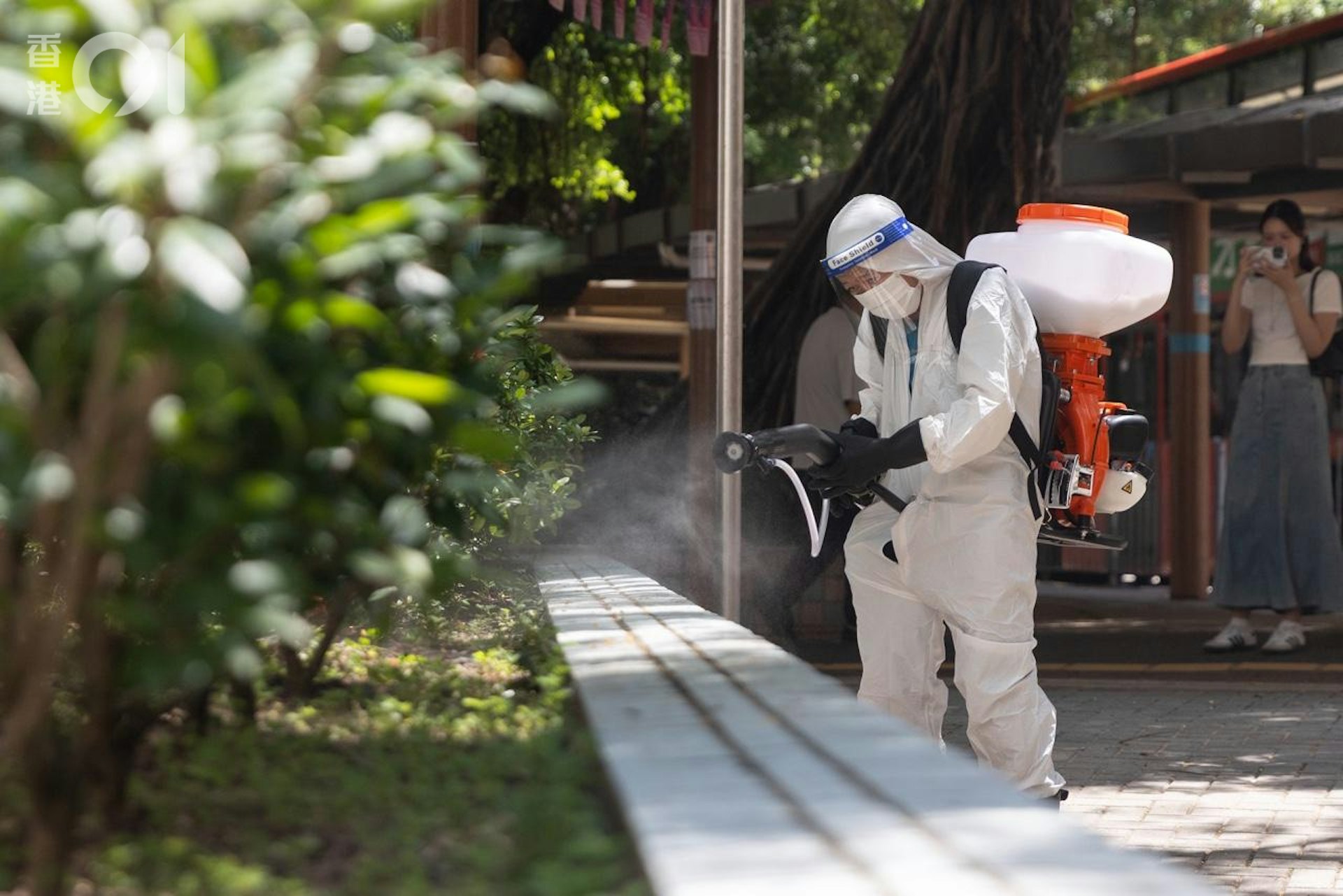 本港今新增一宗基孔肯雅熱輸入個案。(資料圖片/梁鵬威攝) 本港今新增一宗基孔肯雅熱輸入個案。(資料圖片/梁鵬威攝)