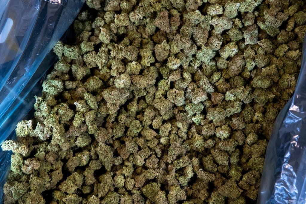 特朗普據報推動大幅放寬大麻限制擬將監管力度降至與止痛藥同級