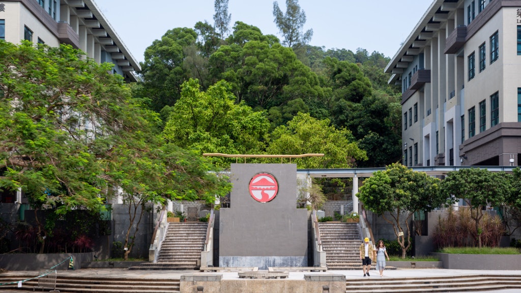 嶺大取消本科生IELTS英文試畢業要求 校方:旨在善用教學資源