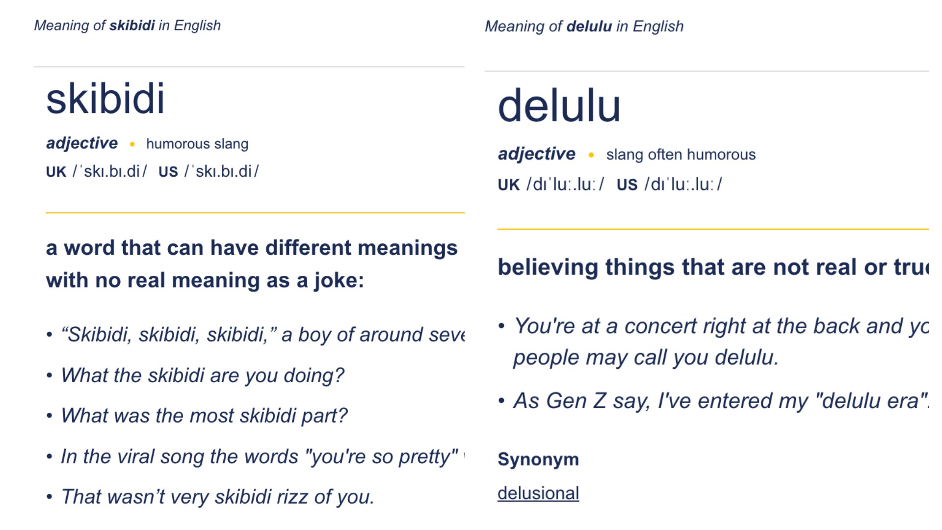 劍橋辭典增6000個詞彙GenZ＋GenAlpha潮語Skibidi、Delulu上榜