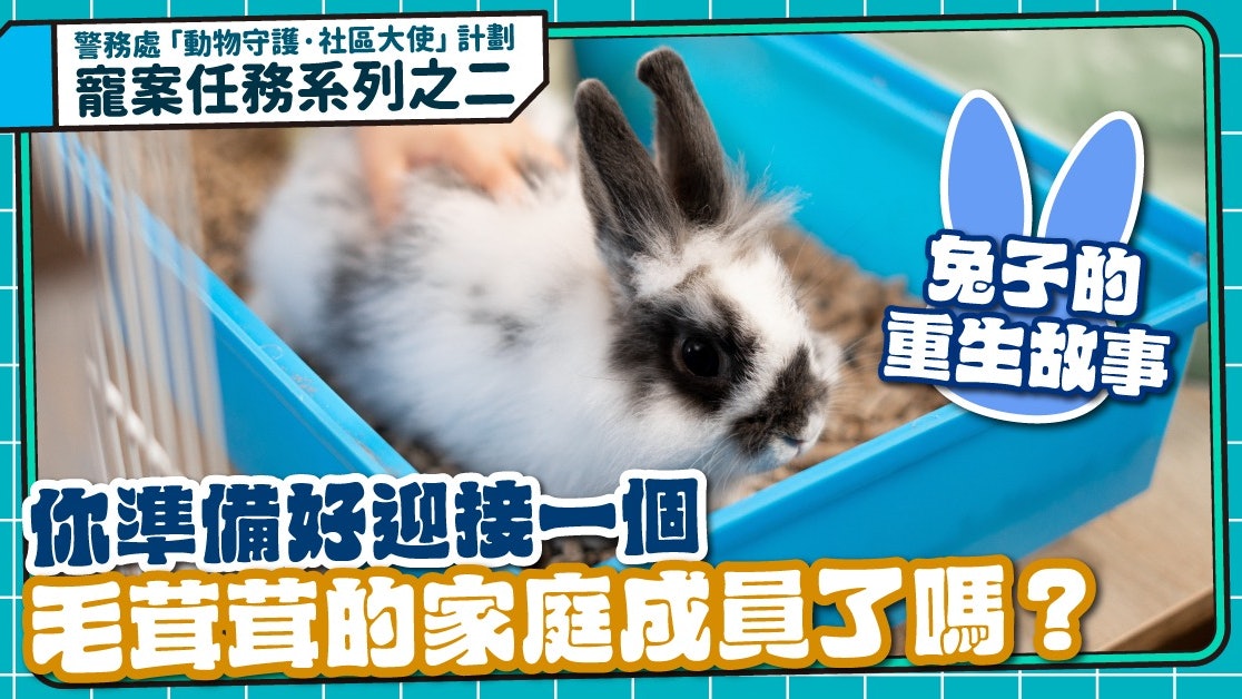 寵案任務│兔子的重生故事 你準備迎接一個毛茸茸的家庭成員了嗎? 寵案任務│兔子的重生故事 你準備迎接一個毛茸茸的家庭成員了嗎?