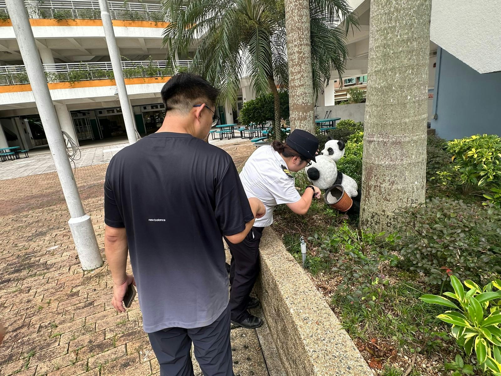 食環署8月20日在九龍城啟德北和荃灣馬灣進行防蚊滅蚊工作。圖示食環署人員聯同馬灣一學校的代表巡視該學校的公共地方會否出現大範圍積水。