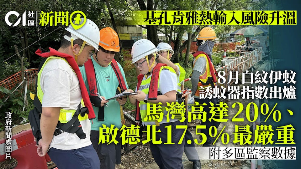 基孔肯雅熱|8月誘蚊器指數出爐 馬灣20%、啟德北17.5%最嚴重 (This content only provides in Chinese version)