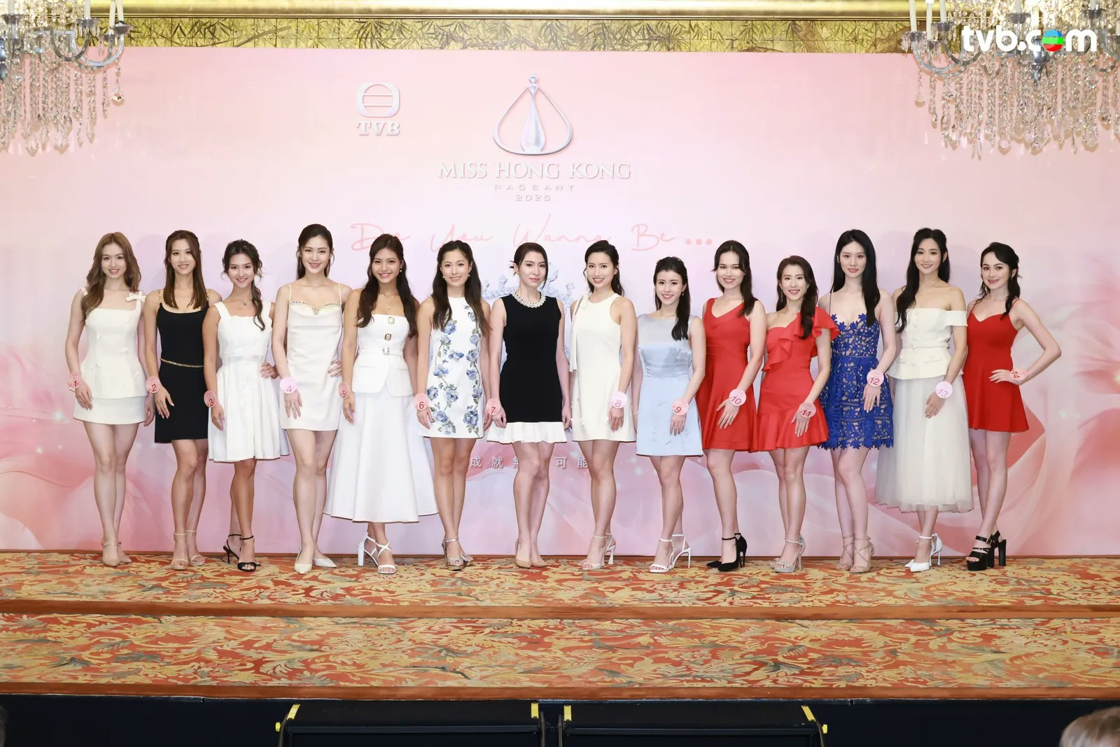 香港小姐2025｜冠亞季三甲最詳細預測！ 呢兩位「黑馬」先係焦點