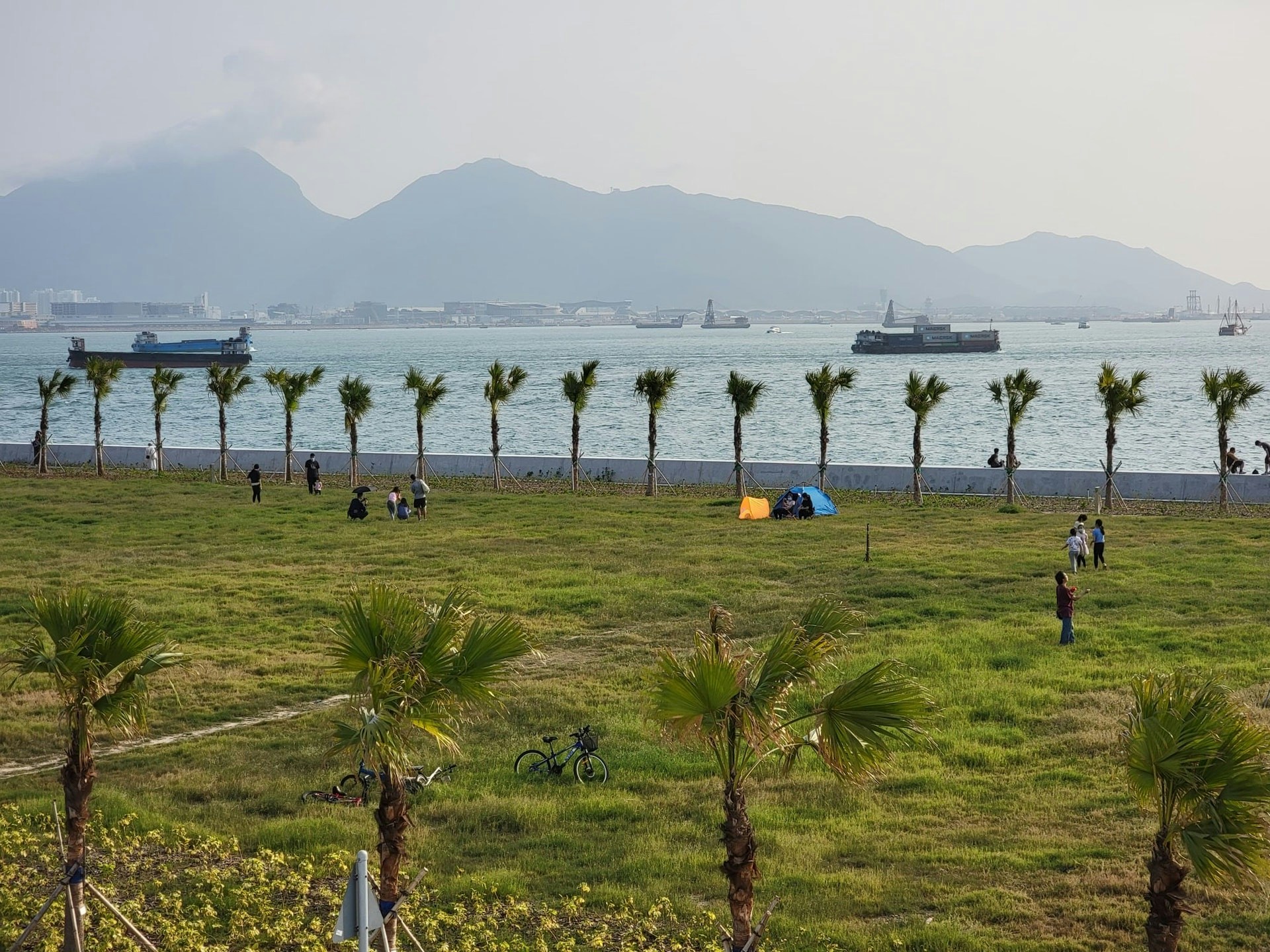 屯赤隧道浩和街交通不便,大多數人都是駕車前往。(「青山散步」Facebook圖片)