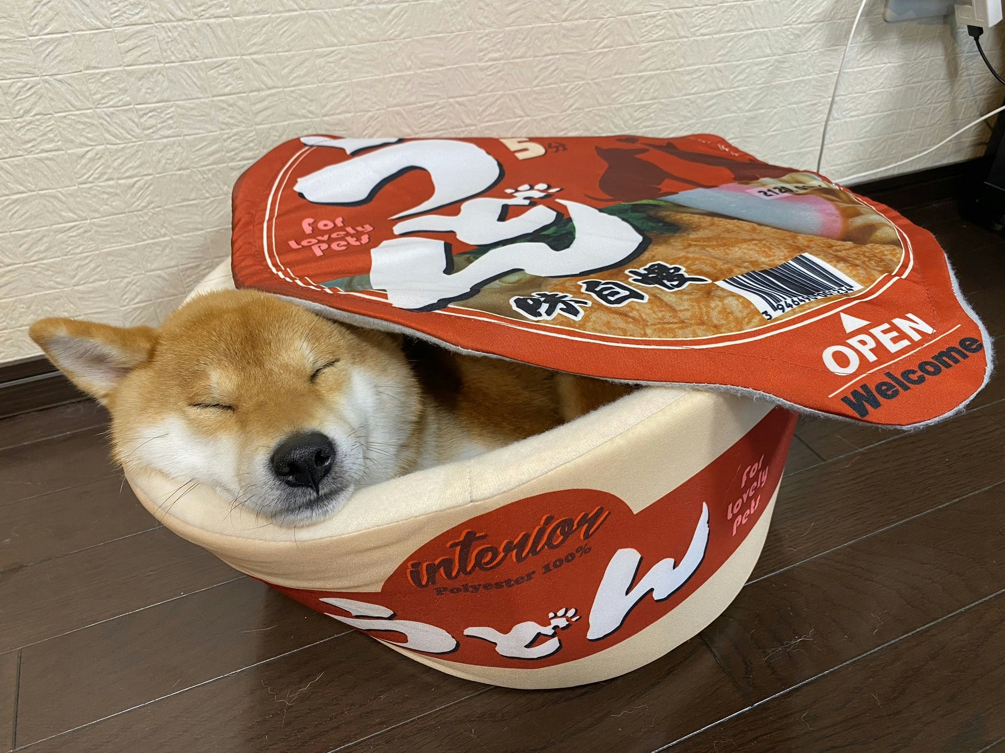 柴犬躺進泡麵窩舒服到不想動創意小窩療癒所有煩惱可愛到犯規