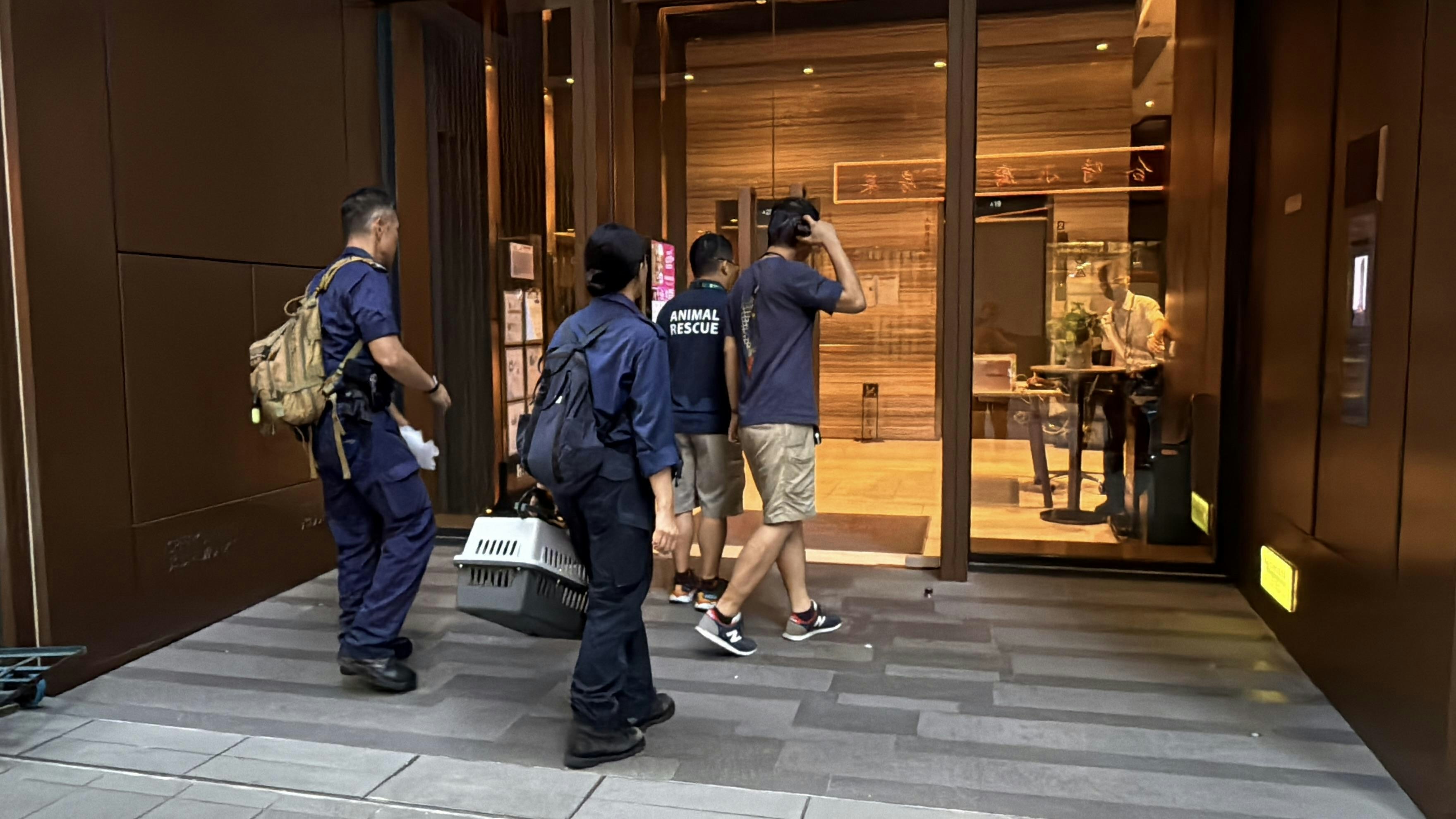 愛協督察到場調查。（羅日昇攝）