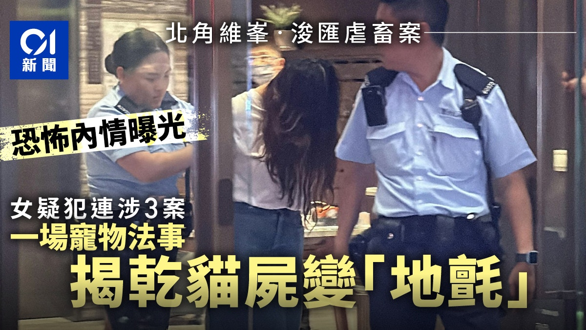 北角維峯‧浚匯虐畜｜女疑犯連涉3案　今做寵物法事揭有恐怖乾貓屍
