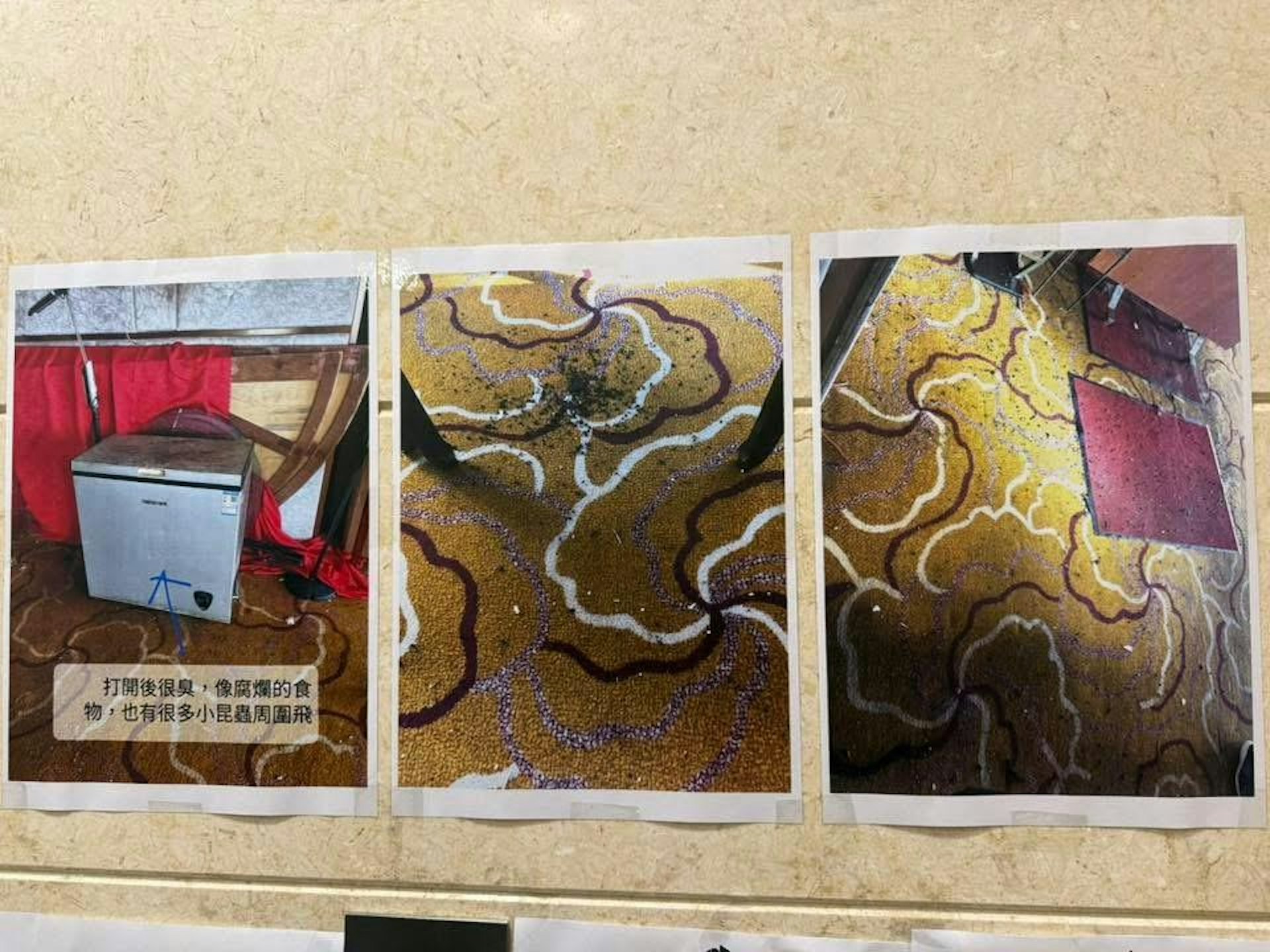 木蘭苑大堂內亦貼出酒樓內部相片,顯示酒樓地下聚集不少飛蟲。(網上圖片) 木蘭苑大堂內亦貼出酒樓內部相片,顯示酒樓地下聚集不少飛蟲。(網上圖片)