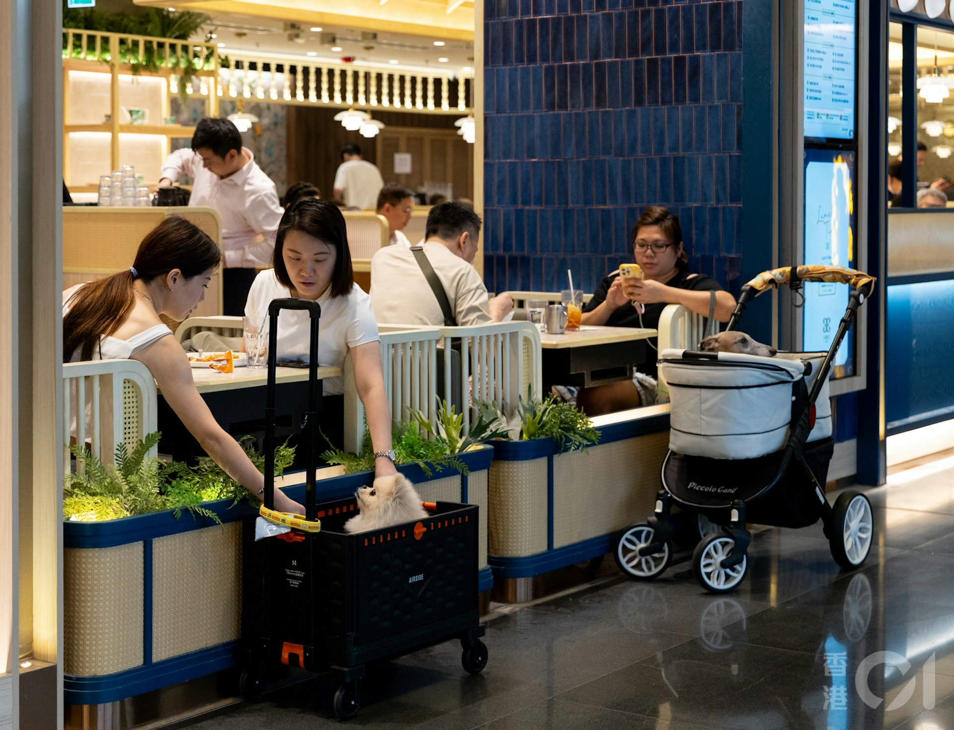 現時不少人養寵物,施政報告提出放寬《食物業規例》,容許食肆申請牌照,讓狗隻進入餐廳,解除長達30年的寵物狗入餐廳禁令。(夏家朗攝) 現時不少人養寵物,施政報告提出放寬《食物業規例》,容許食肆申請牌照,讓狗隻進入餐廳,解除長達30年的寵物狗入餐廳禁令。(夏家朗攝)